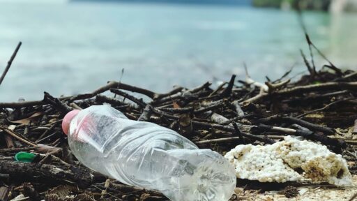 Die Auswirkungen des Plastikverbrauchs auf die Ozeane