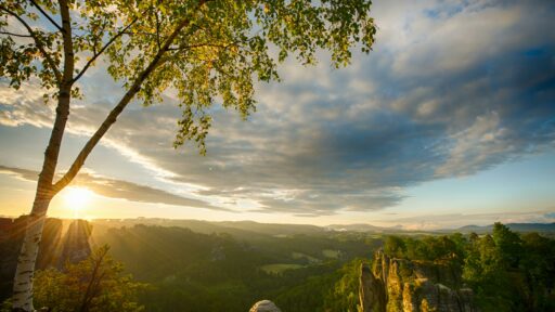 Digital Detox Wochenende in der Sächsischen Schweiz