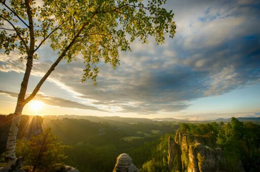 Digital Detox Wochenende in der Sächsischen Schweiz